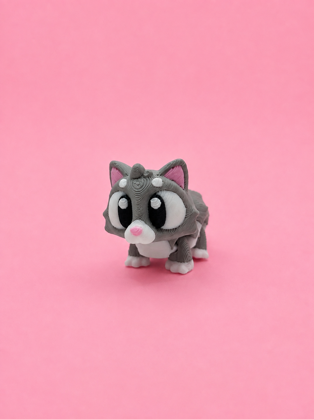 🐱 Gatito Flexi - Imagen 2