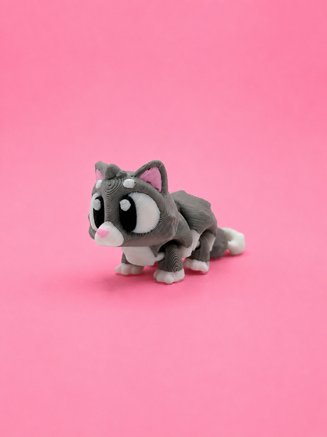 🐱 Gatito Flexi - Imagen 3