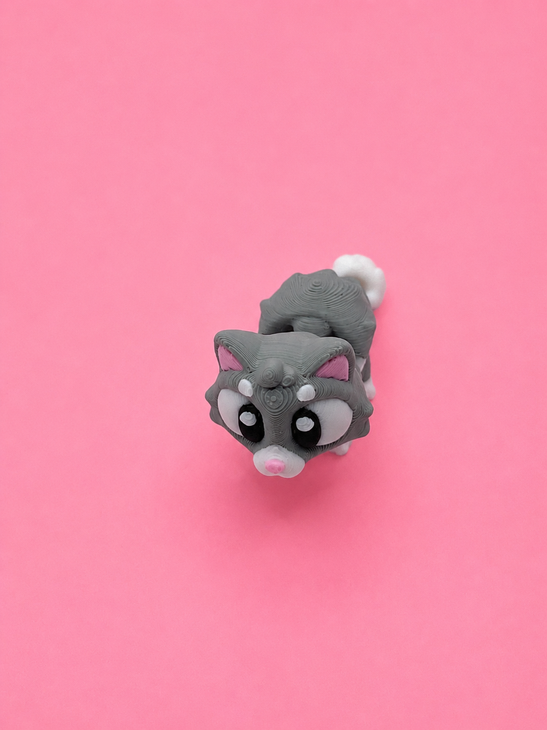 🐱 Gatito Flexi - Imagen 4