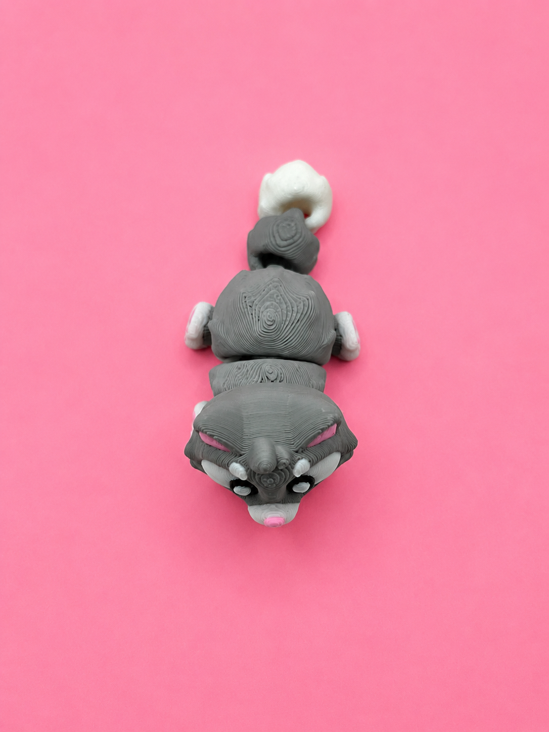 🐱 Gatito Flexi - Imagen 7