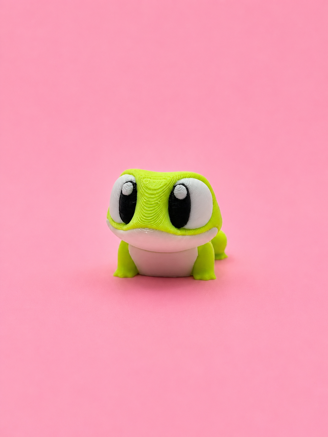 🐸 Rana Flexi - Imagen 2