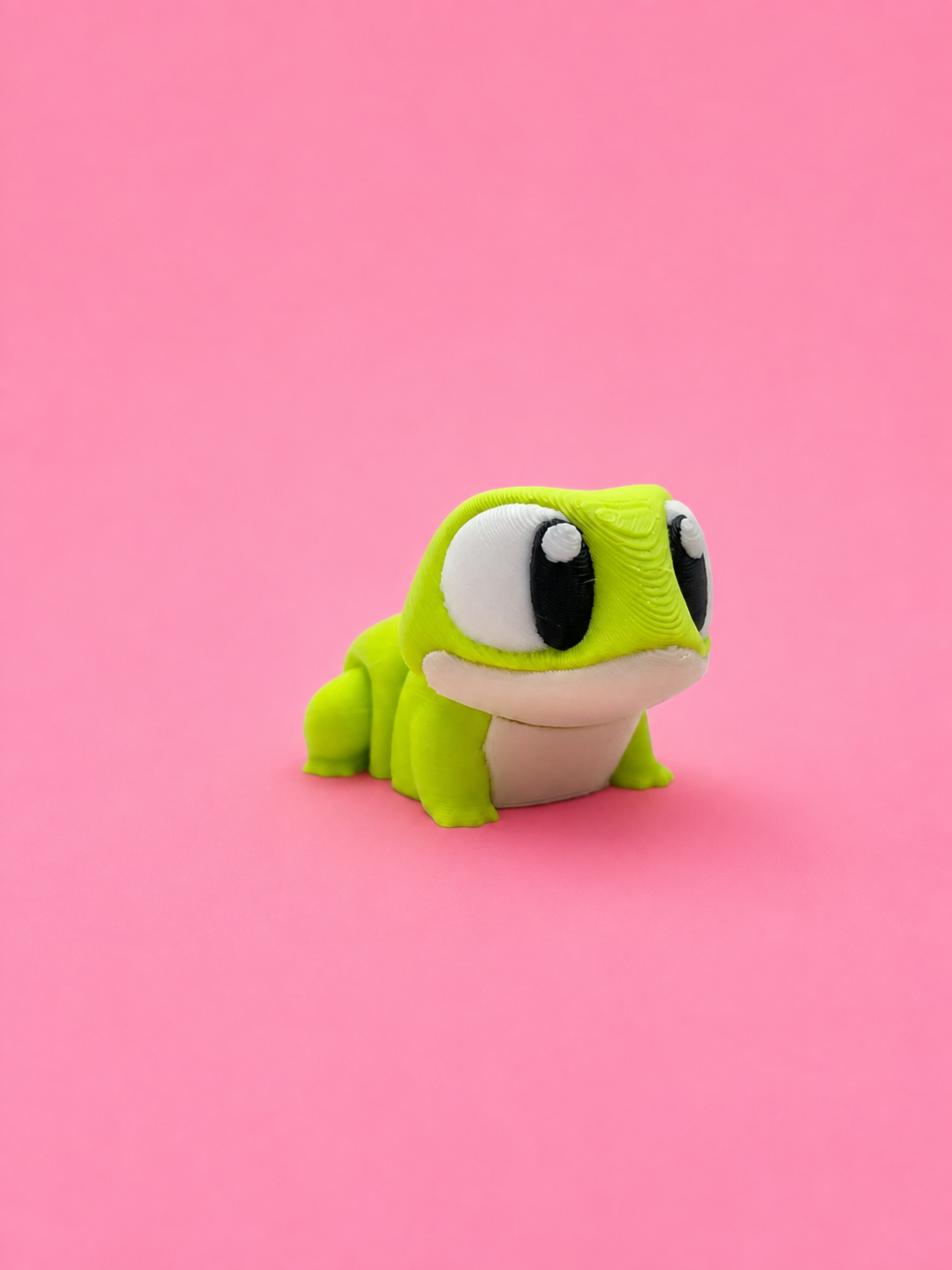 🐸 Rana Flexi - Imagen 3
