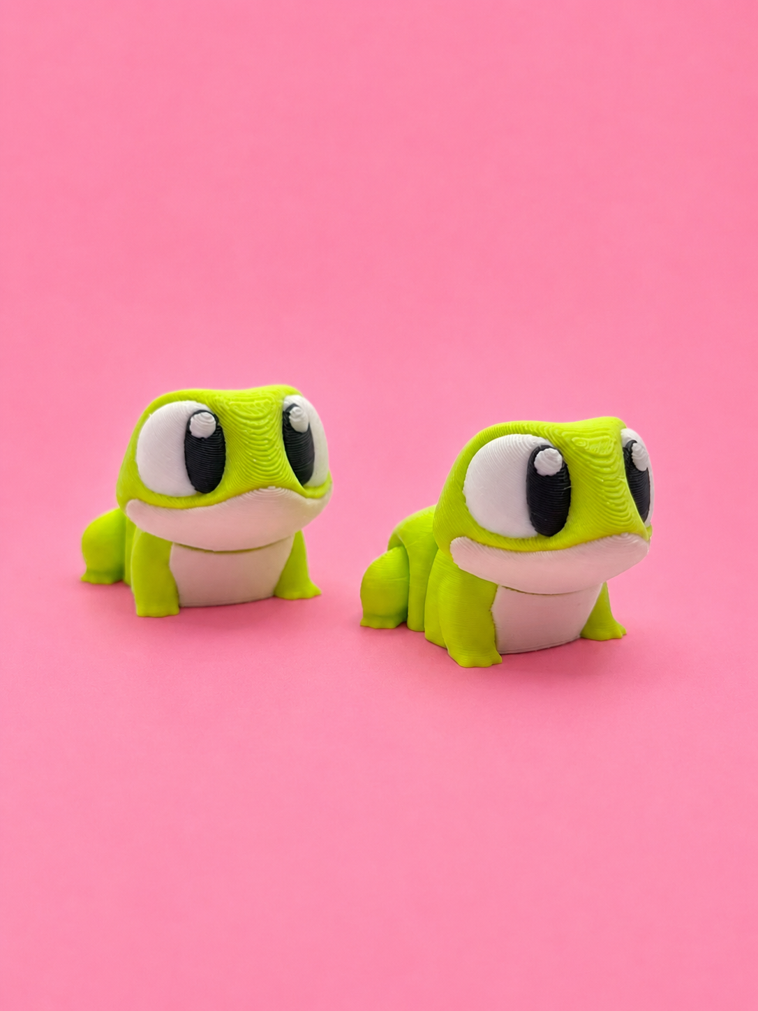 🐸 Rana Flexi - Imagen 4