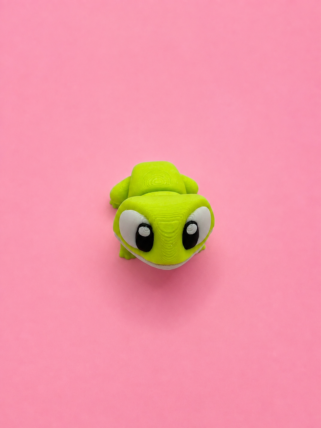 🐸 Rana Flexi - Imagen 6