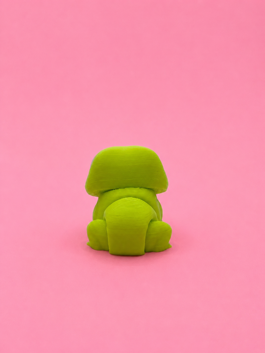 🐸 Rana Flexi - Imagen 7