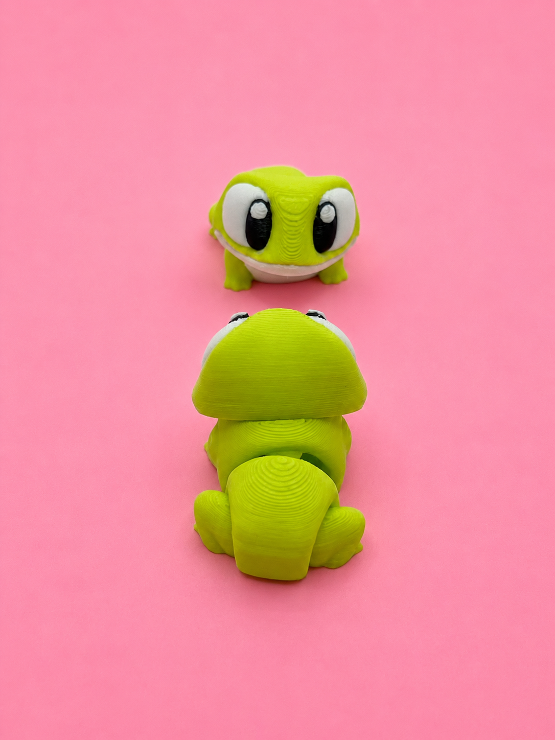 🐸 Rana Flexi - Imagen 8
