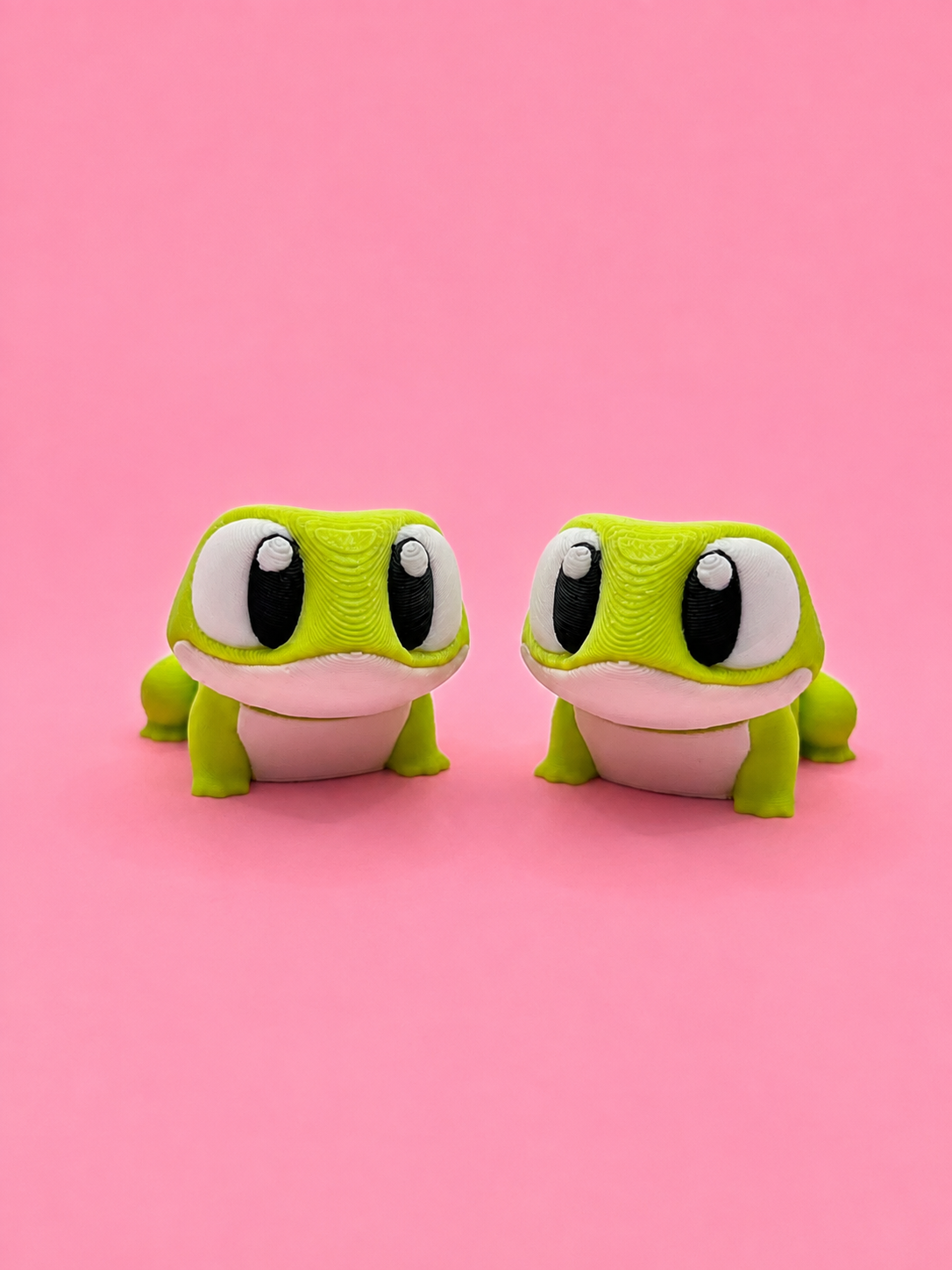 🐸 Rana Flexi - Imagen 9
