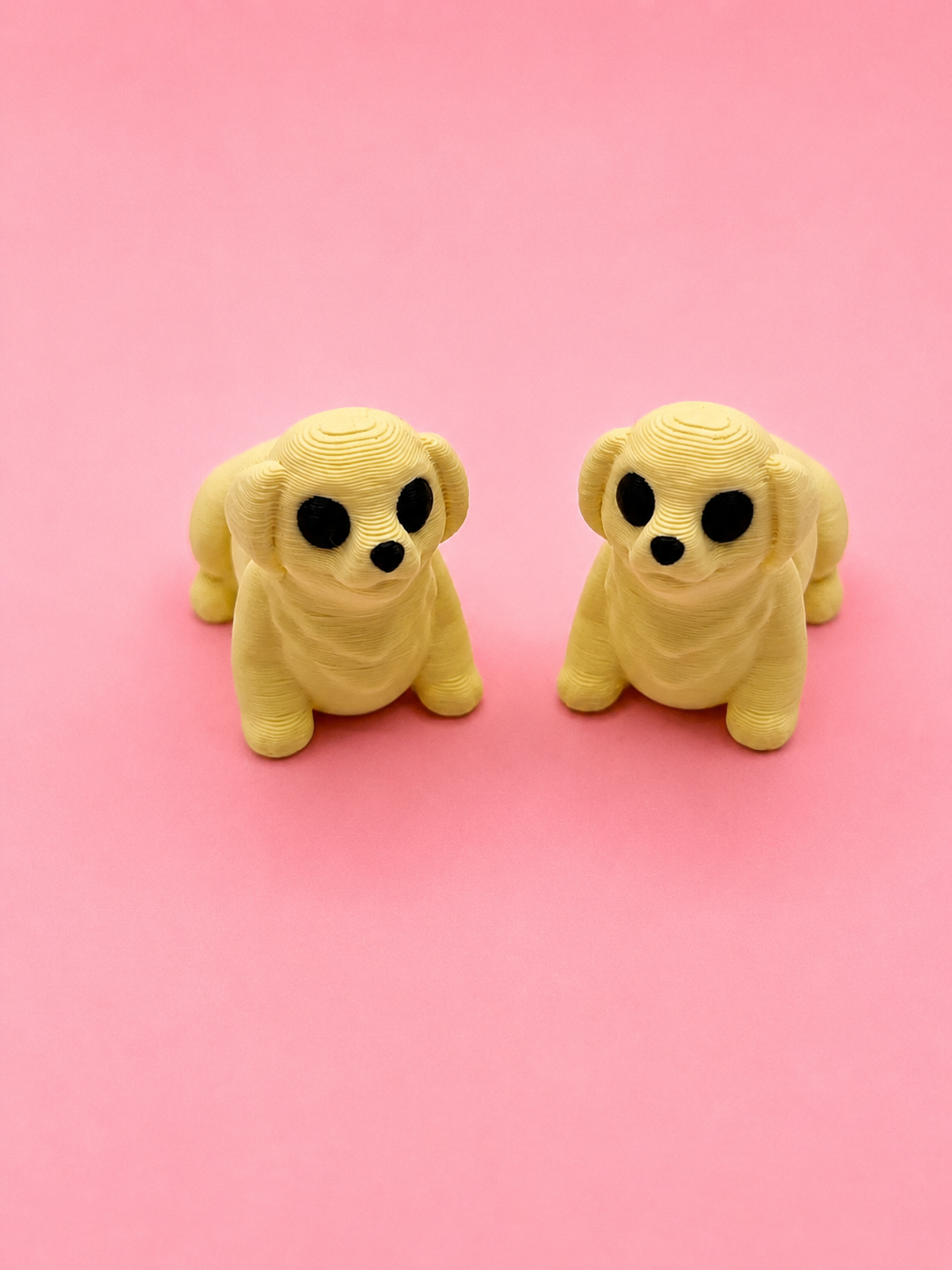 🐶 Perrito Flexi - Imagen 6
