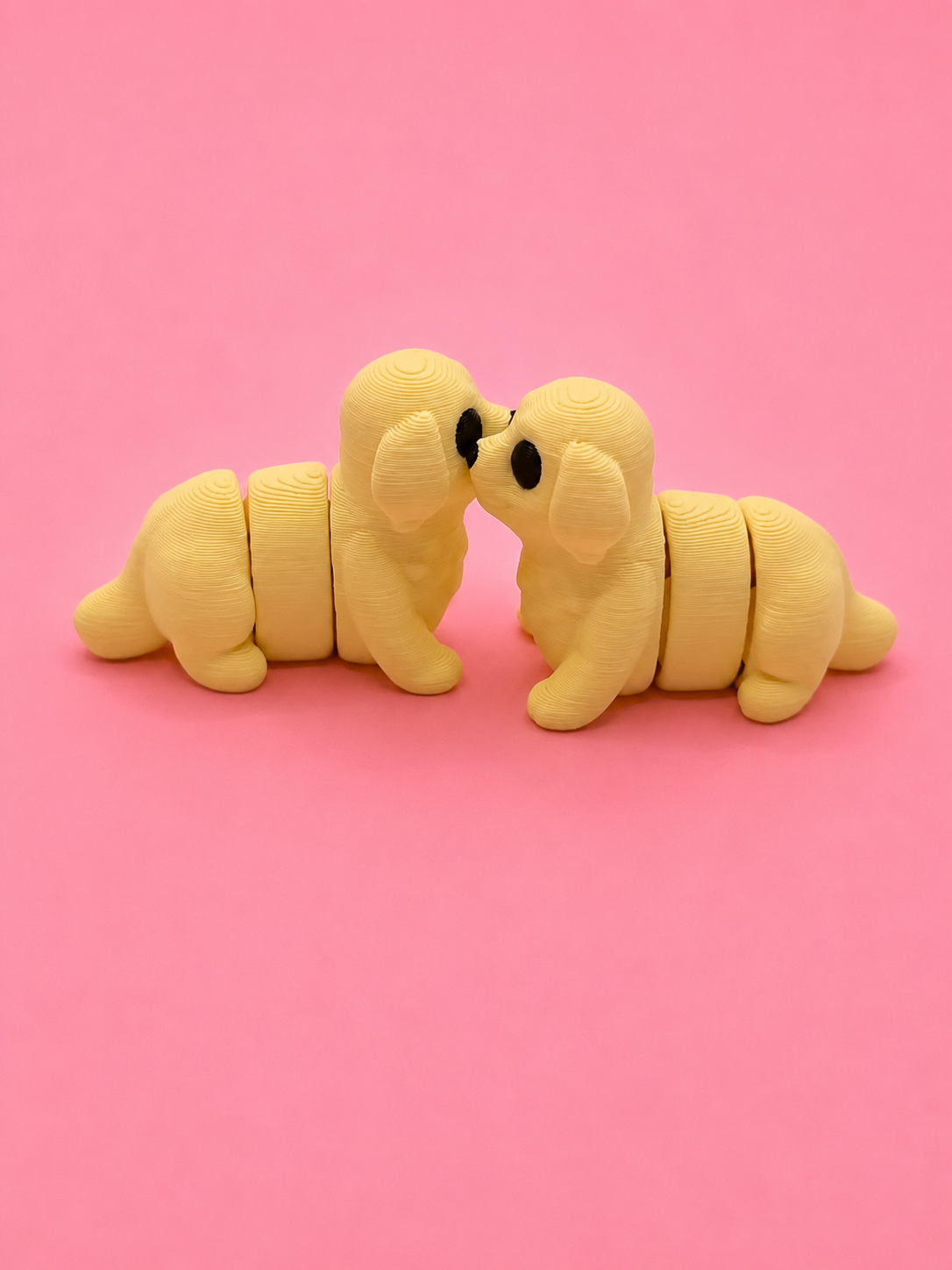 🐶 Perrito Flexi - Imagen 5