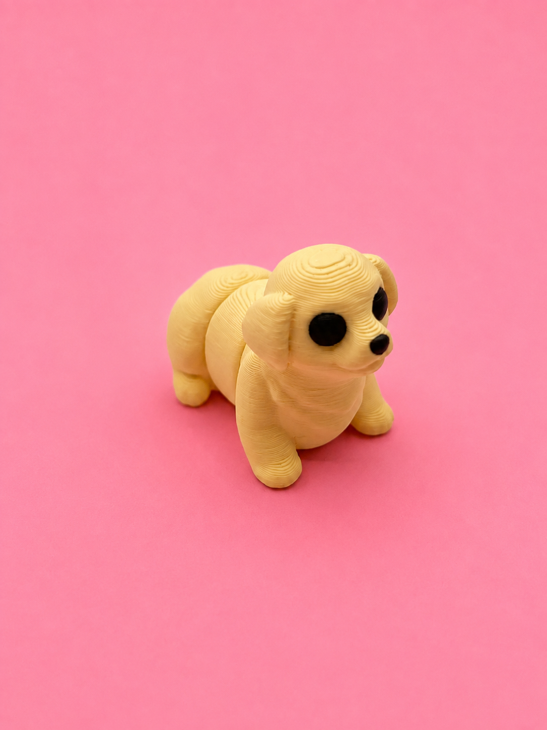 🐶 Perrito Flexi - Imagen 4