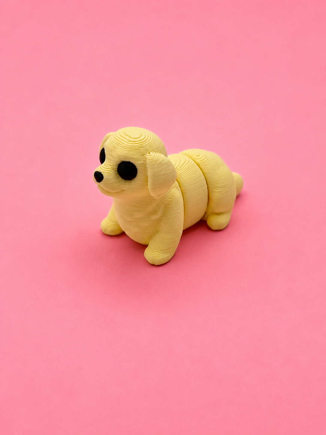 🐶 Perrito Flexi