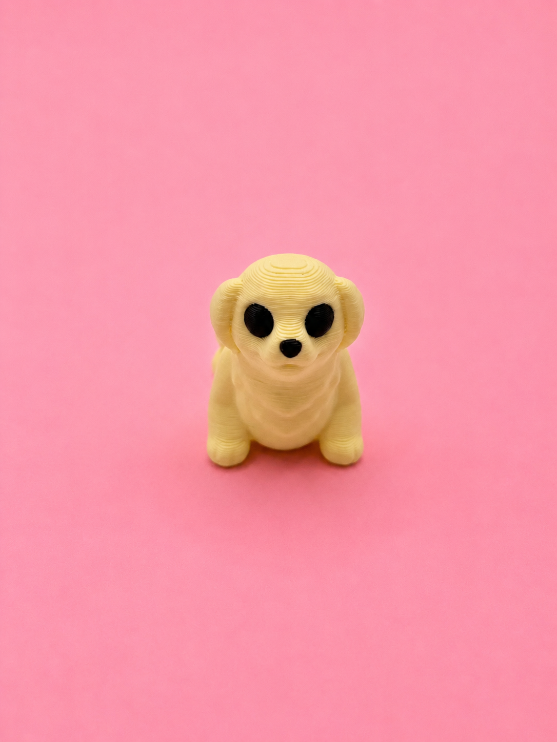 🐶 Perrito Flexi - Imagen 2