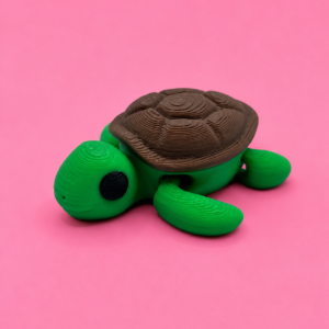 🐢 Tortuga Flexi